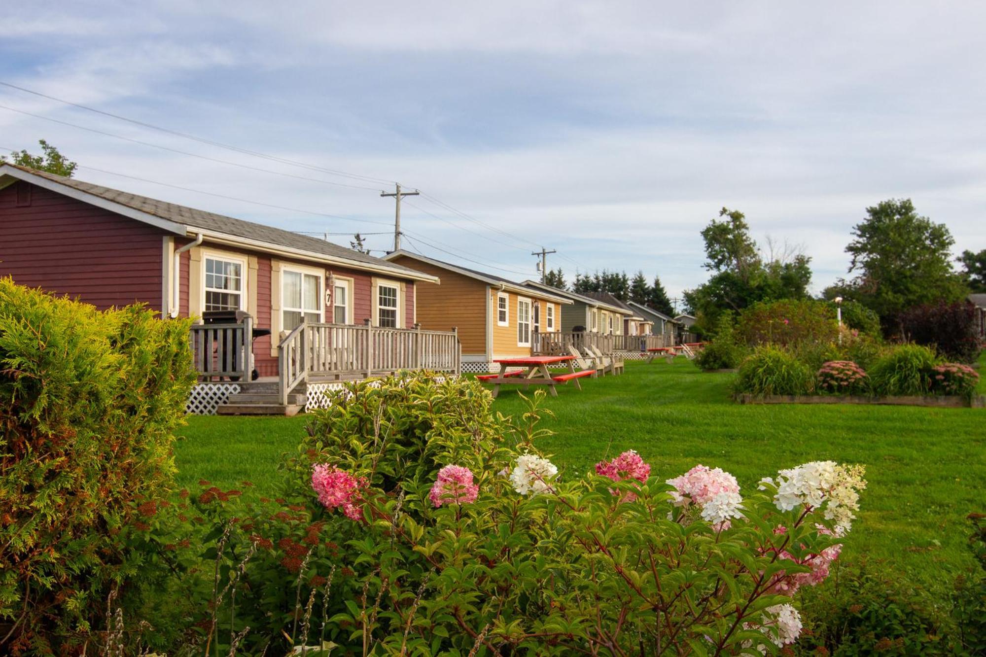 Avonlea Cottages كيفينديش المظهر الخارجي الصورة