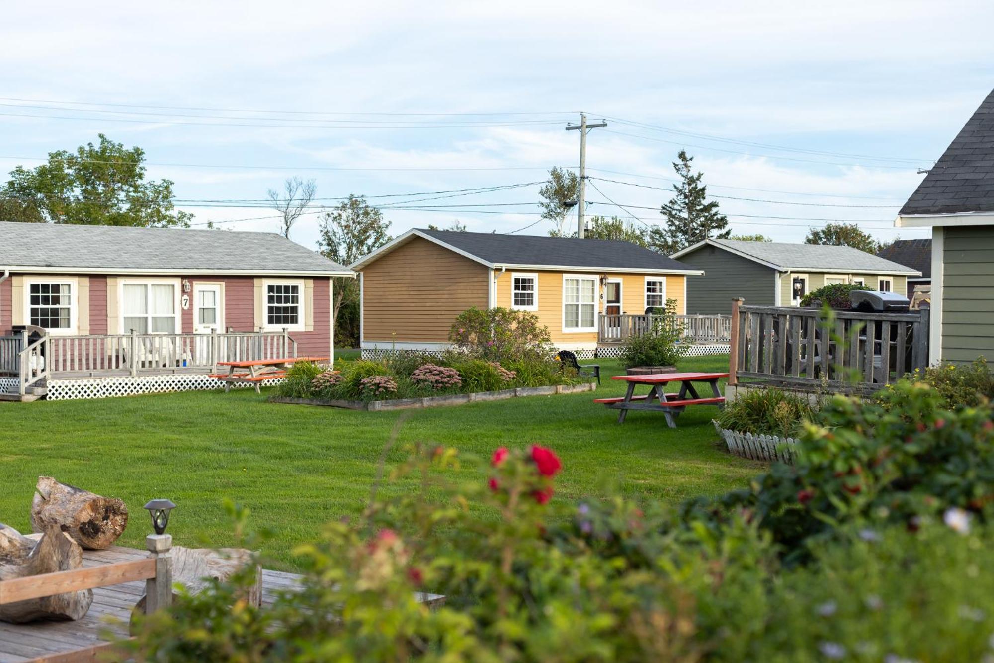 Avonlea Cottages كيفينديش المظهر الخارجي الصورة