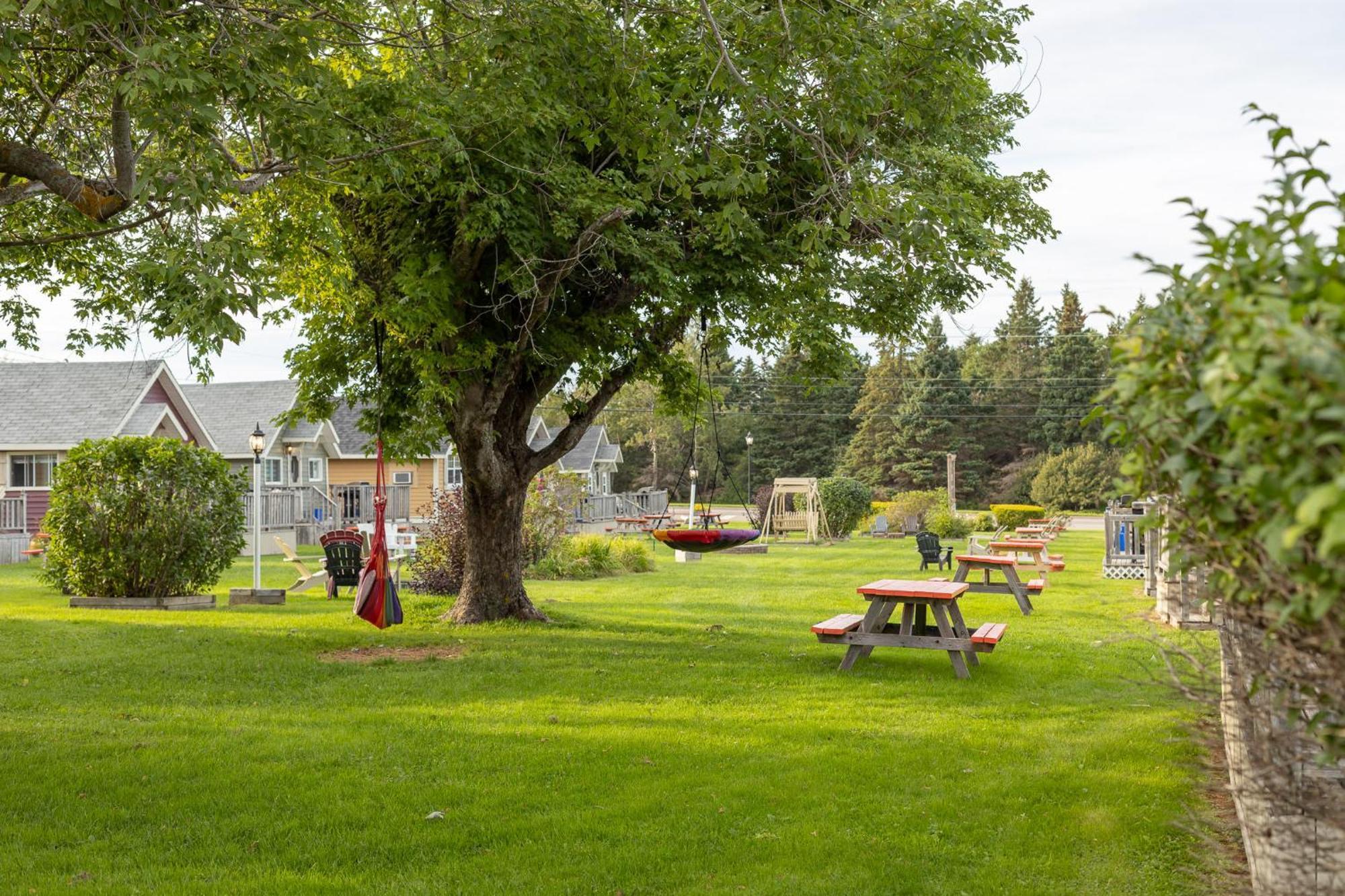 Avonlea Cottages كيفينديش المظهر الخارجي الصورة